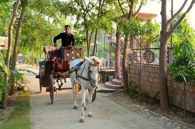 Kangs Nirvana Resorts And Spa Mahalpur ภายนอก รูปภาพ